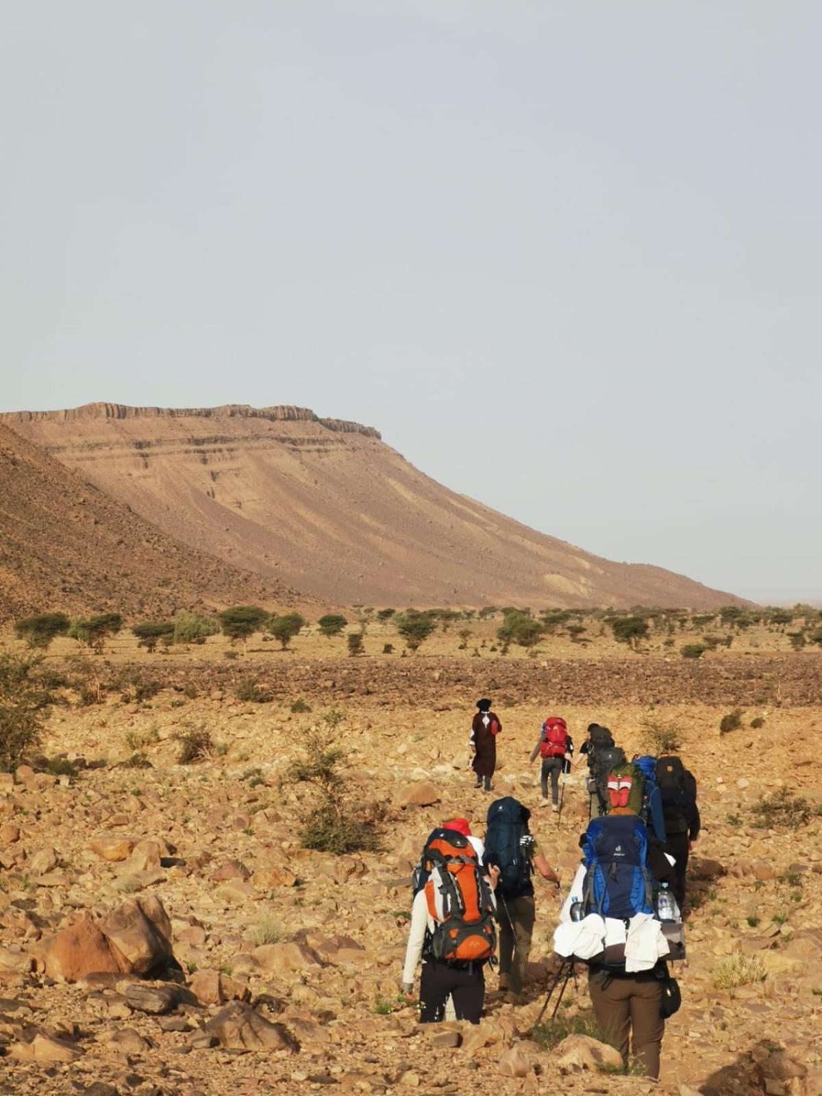 Bivouac Les Nomades & Foum Zguid To Chegaga Tours Hotel Exterior photo