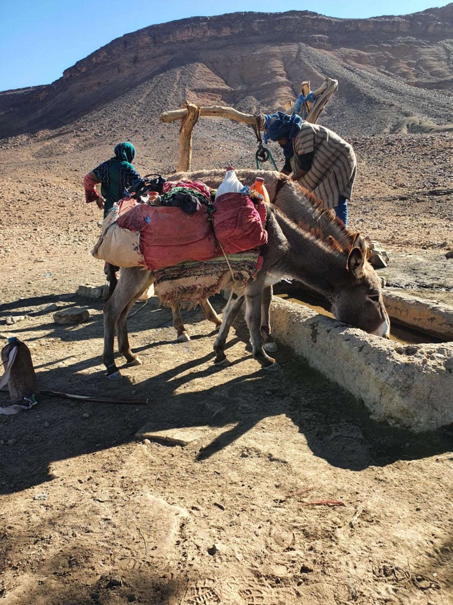 Bivouac Les Nomades & Foum Zguid To Chegaga Tours Hotel Exterior photo